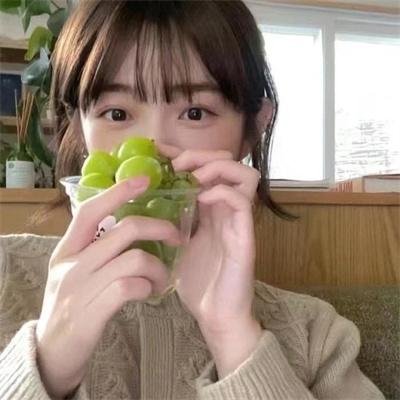 老鼠危机